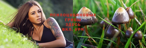 круглые Армянск
