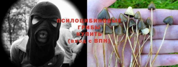 дмт Алзамай