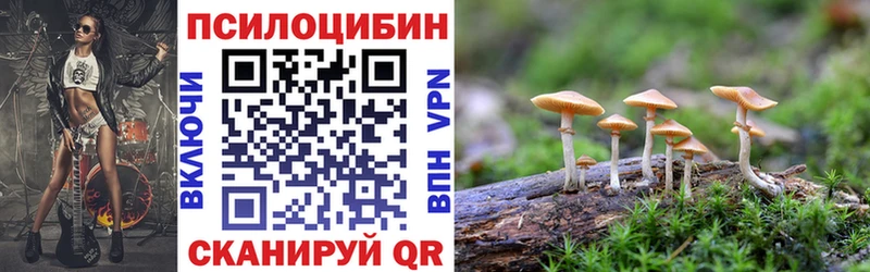 Псилоцибиновые грибы Psilocybe  что такое   Калязин 